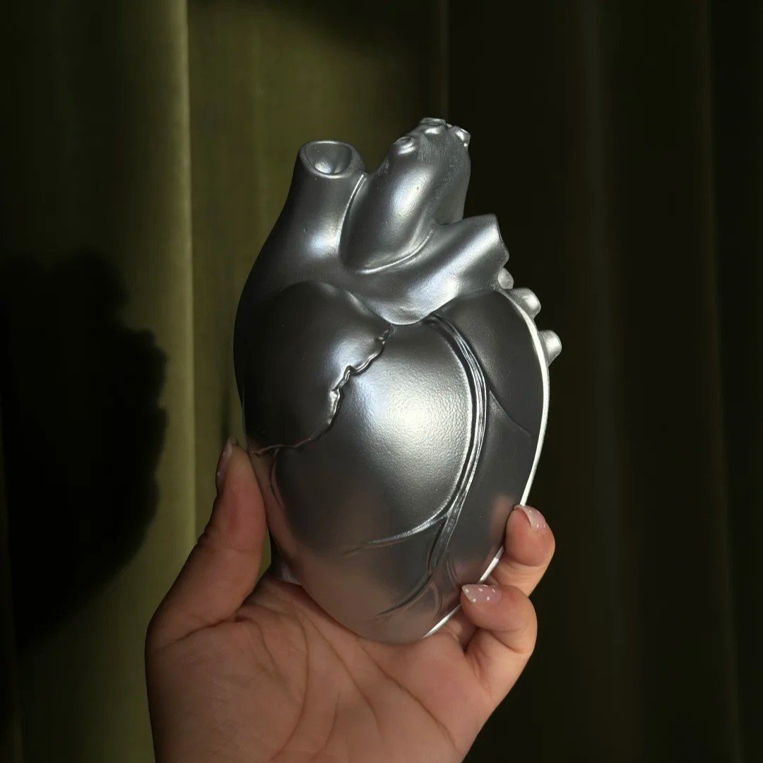 Silver-Finish Anatomical Heart Keepsake Box - Image 8